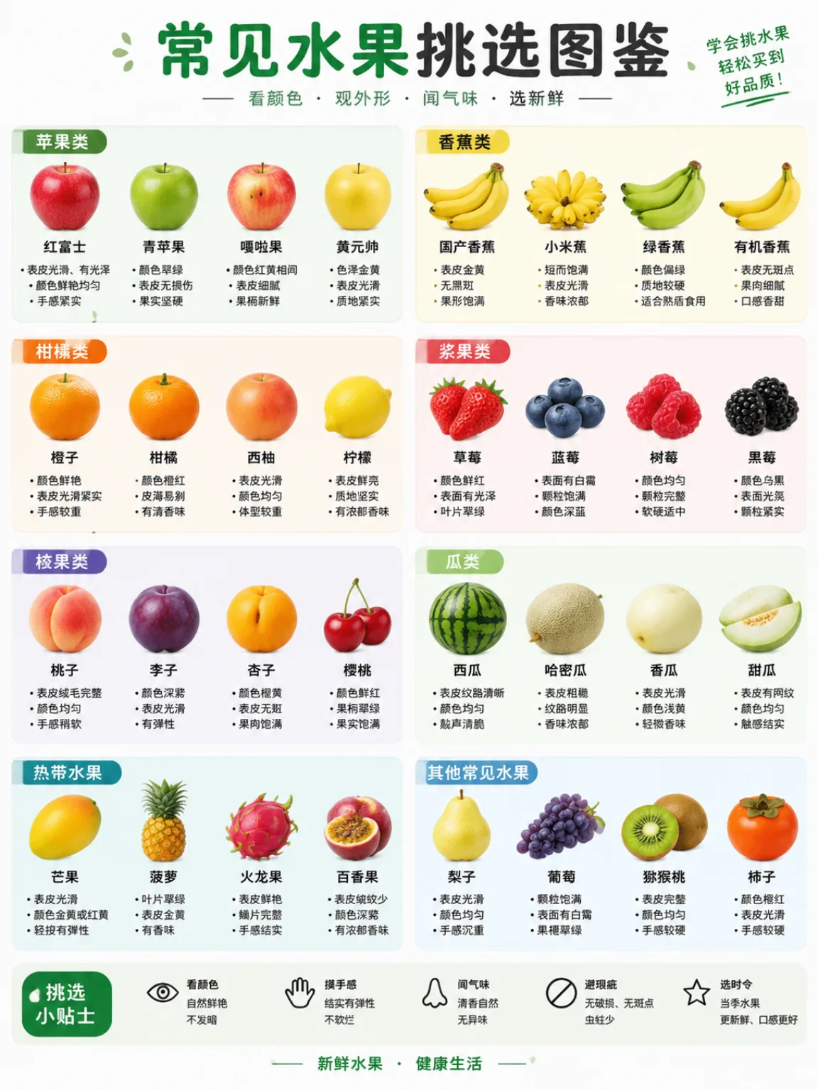 常见水果怎么挑选？一张图认清漫画封面