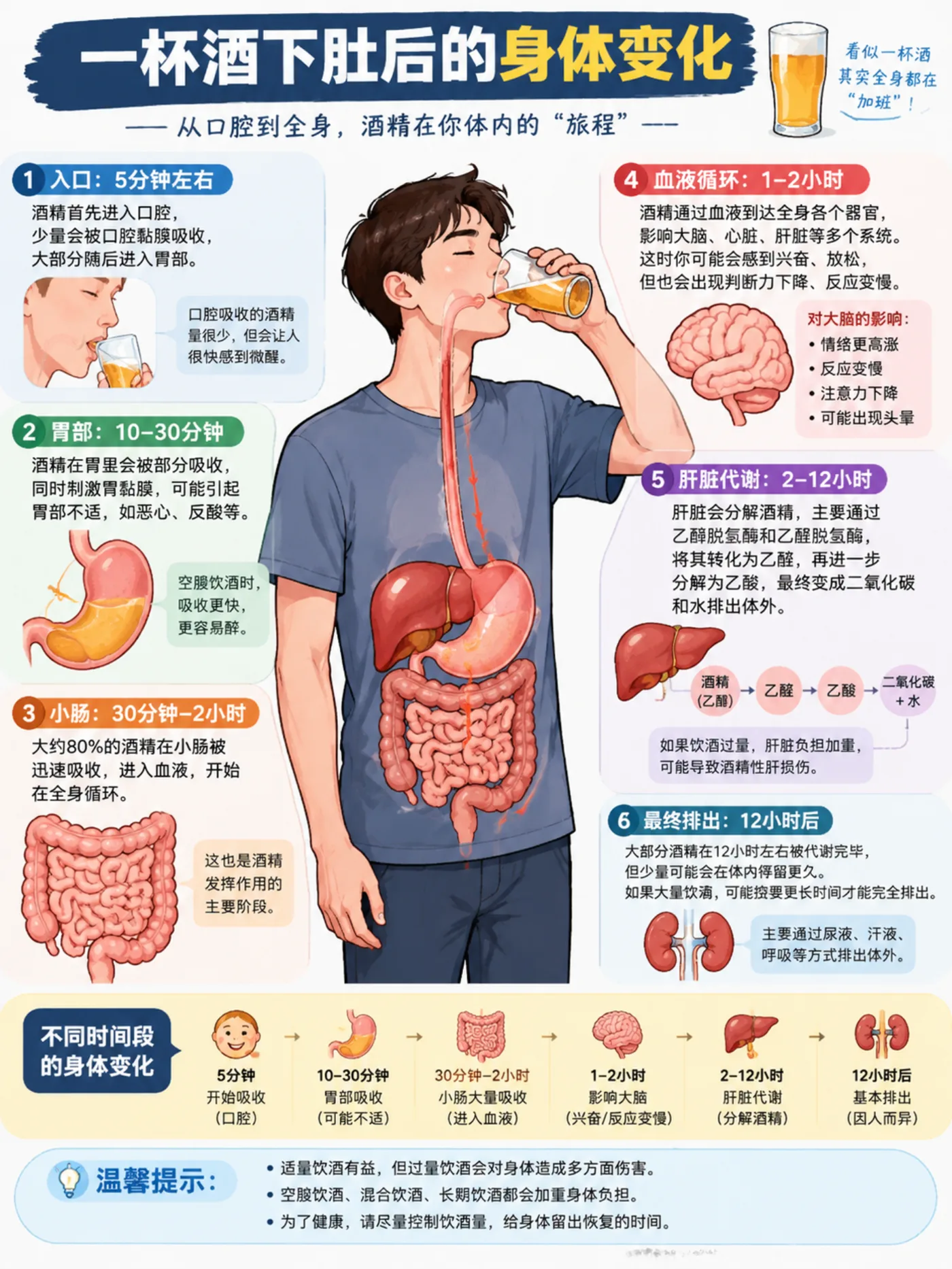 一杯酒下肚，身体都发生了什么漫画封面
